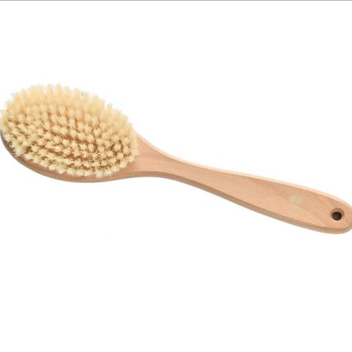 Sauna brush