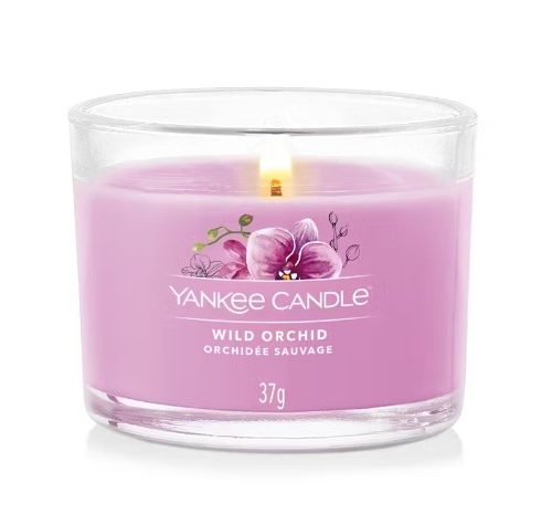 Wild Orchid
